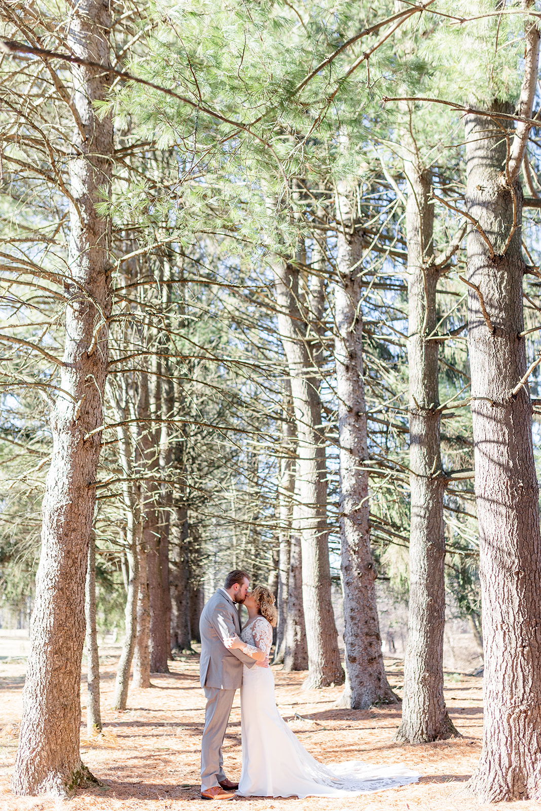 Newlyweds kiss while standing in a path lined with tall pine trees